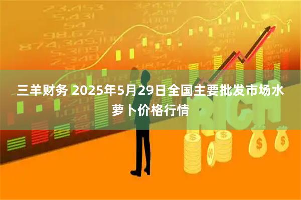 三羊财务 2025年5月29日全国主要批发市场水萝卜价格行情